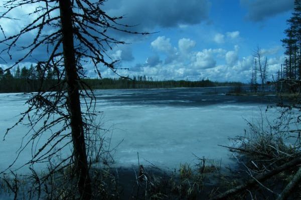phoca-thumb-l-img-1269462008-5988BF37DEE-2905-14E7-5C2E-893BF703979D.jpg